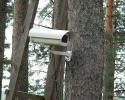 В лесах Подмосковья установят камеры
