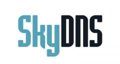 Контент-фильтр единого реестра запрещенных сайтов SkyDNS Zapret ISP
